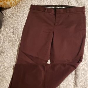 Burgundy slacks